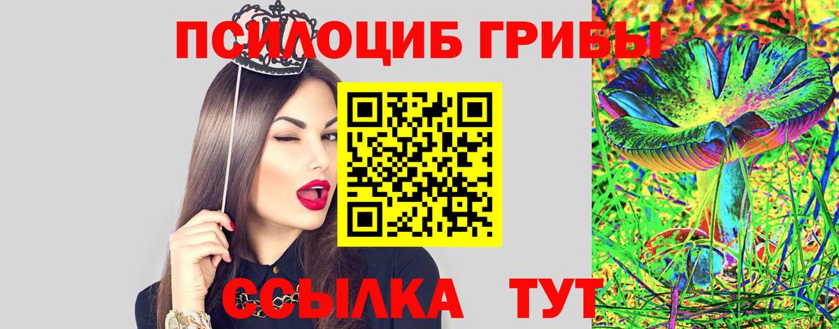 Псилоцибиновые грибы мухоморы  Вход с VPN  цена наркотик  Галлюциногенные грибы ЛСД  Гусиноозёрск 