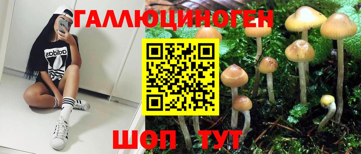 Псилоцибиновые грибы Magic Shrooms Гусиноозёрск